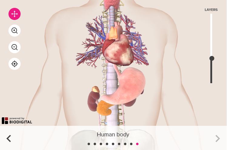 Bodymaps le corps humain en 3d logiciel gratuit