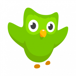Duolingo pour apprendre l'anglais