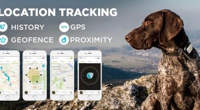 Un GPS tracker pour ne jamais perdre de vue votre chien
