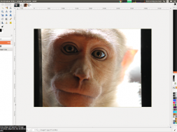 applications et outils pour enlever yeux rouges en ligne