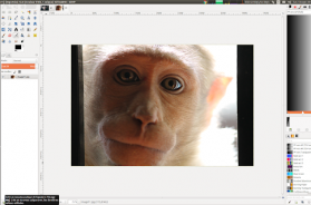 applications et outils pour enlever yeux rouges en ligne