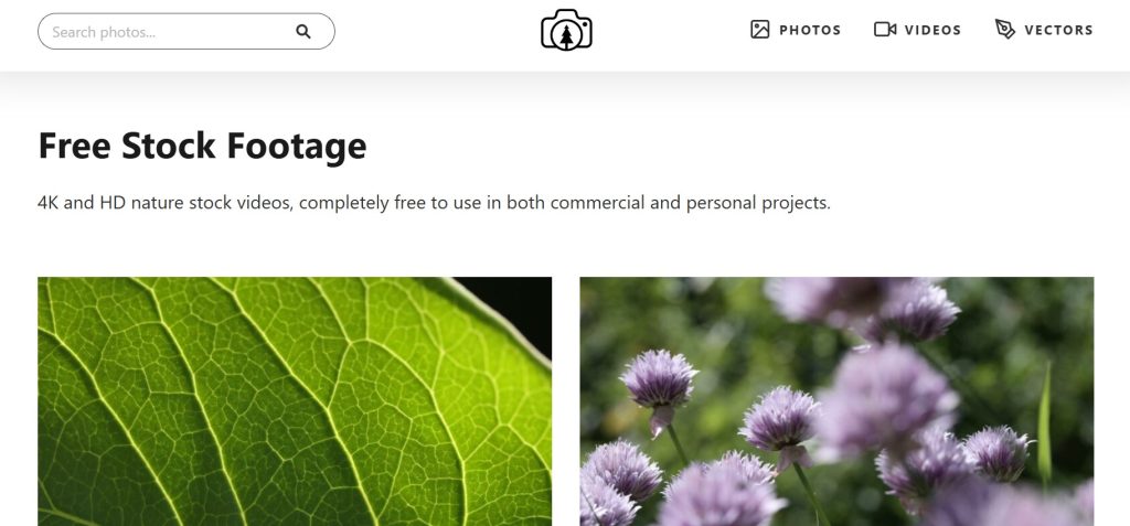 Free Nature Stock