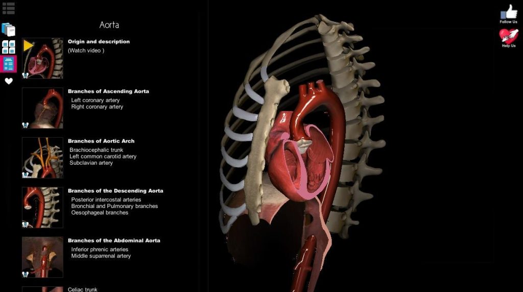 Anatomy Learning logiciel anatomie 3d gratuit