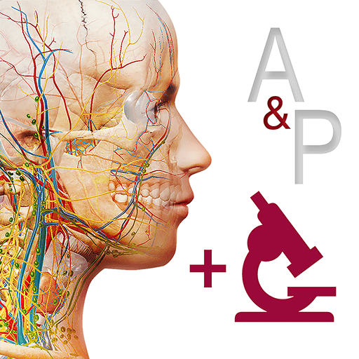 Visible body application anatomie humaine