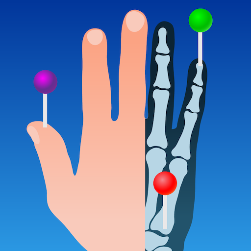 e-Anatomy software free 3d human body