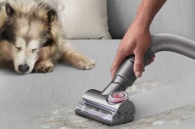 meilleurs Aspirateurs Dyson