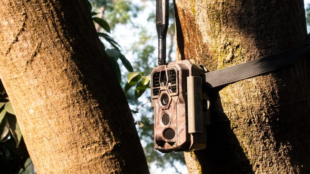 caméra de chasse professionnel