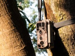 caméra de chasse professionnel