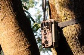 caméra de chasse professionnel