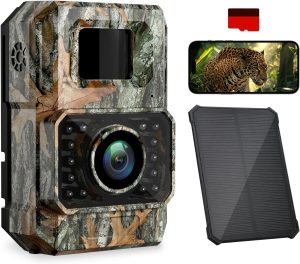 Coolifepro PH960W