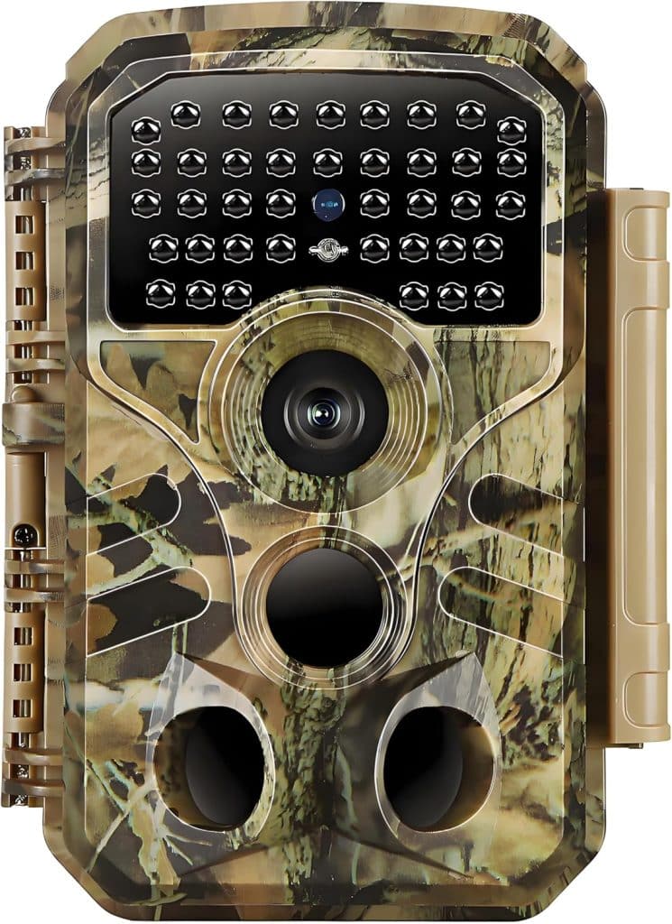 BLAZEVIDEO T306