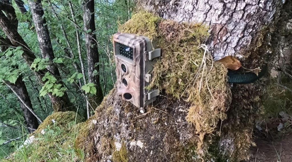 Caméras de Chasse BLAZEVIDEO prix et avis