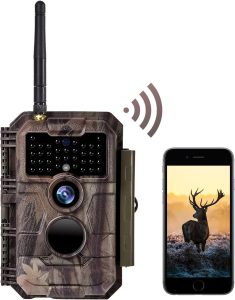 BlazeVideo W600