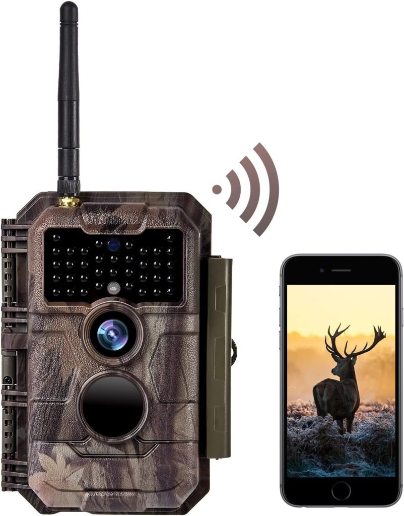 BlazeVideo W600