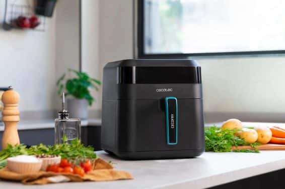 Comparatif Des Meilleurs Air Fryers Cecotec